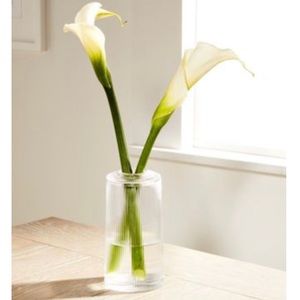 Hotel Collection Decor Small Glass Vase with Lid
